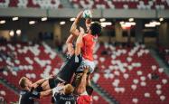 开云sport-独舞的王者，2026世界杯E组焦点战，哈基米主导碾压之夜，葡萄牙诠释何为不可战胜