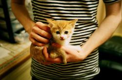 开云体育官网-新王加冕，非洲雄狮在都灵撕裂旧秩序，穆勒的悲壮爆发难阻宿命轮转