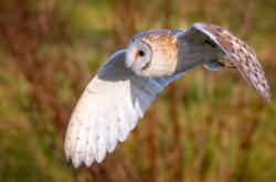 开云体育中国-乔治存在感拉满之夜，一记火锅，两个城市，与千千万万个我