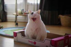 开云体育中国-昨夜，我们共同见证了一个篮球新纪元的开启