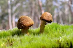 开云体育平台APP-当东方铁壁遭遇西方烈火，范弗利特在五棵松投下的三分惊雷