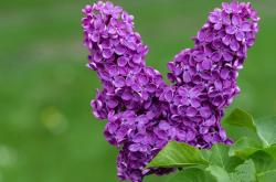 开云体育官网-奇才淘汰赛过关广东队，杜兰特2026世界杯接管比赛，篮球世界的跨界交响