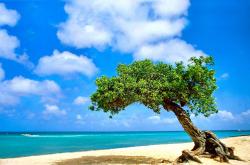 开云体育在线-门神博弈与命运棋盘，当奥纳纳的杀伤力遇见皇马的生死哲学