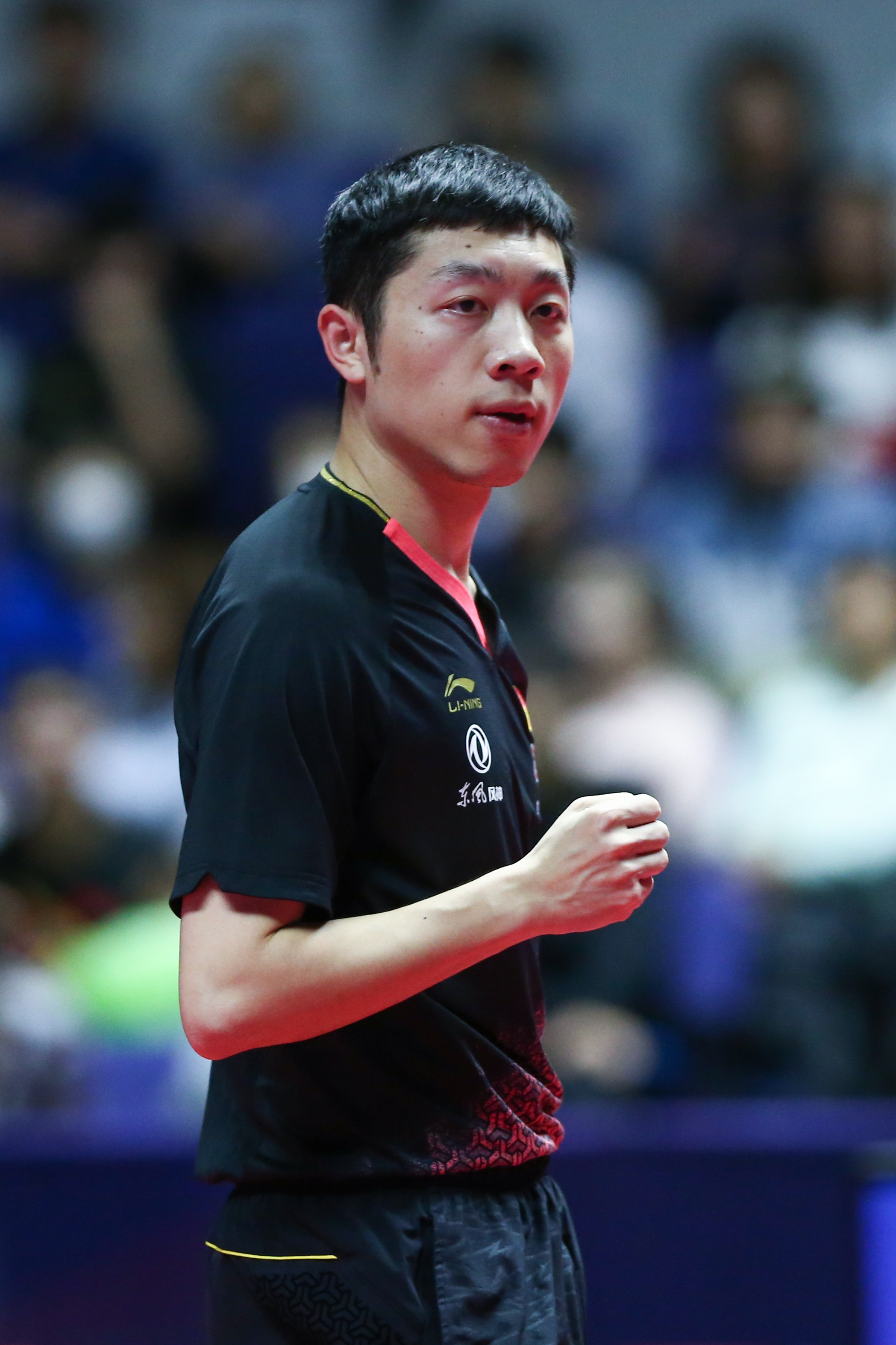 德国队鏖战日本队，许昕高光表现