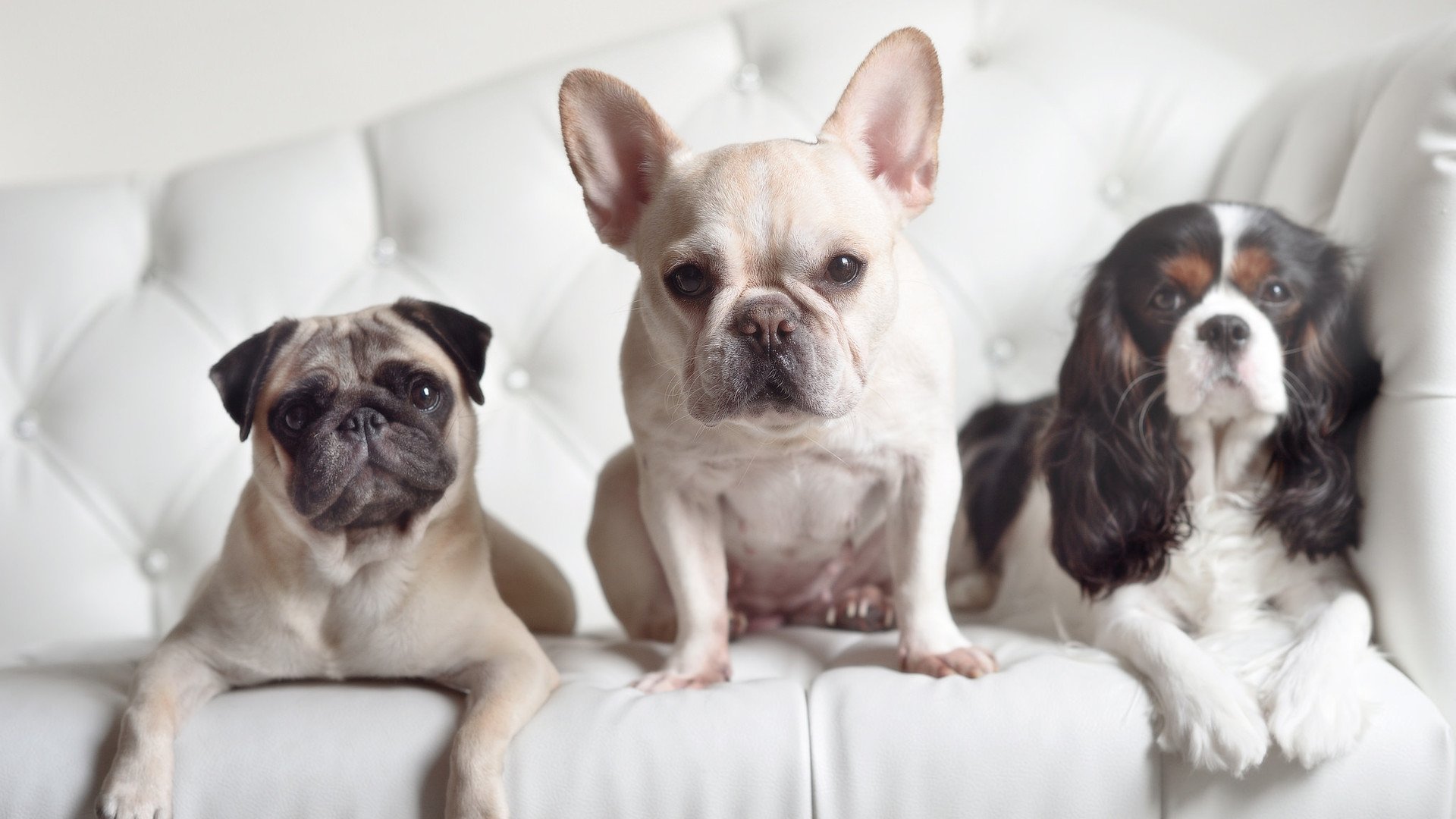 平行宇宙入口打开?数据揭示北京队绝杀勇士与杜兰特带队取胜同时成立