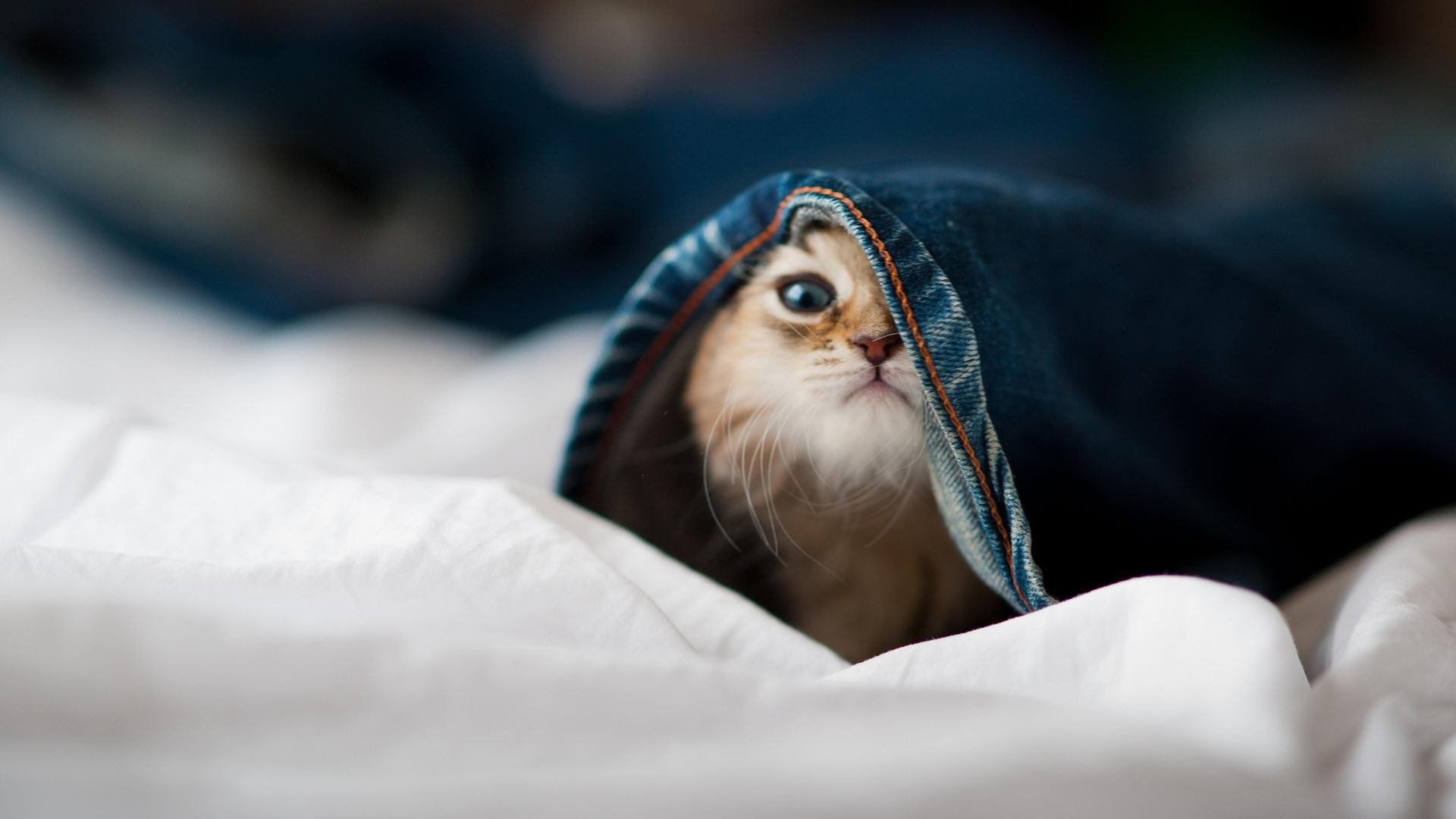 绝地逆转！巴黎见证王皓的封神之战