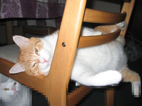 西甲德比焦点战中的那不勒斯启示,压制巴西足球艺术背后的战术唯一性