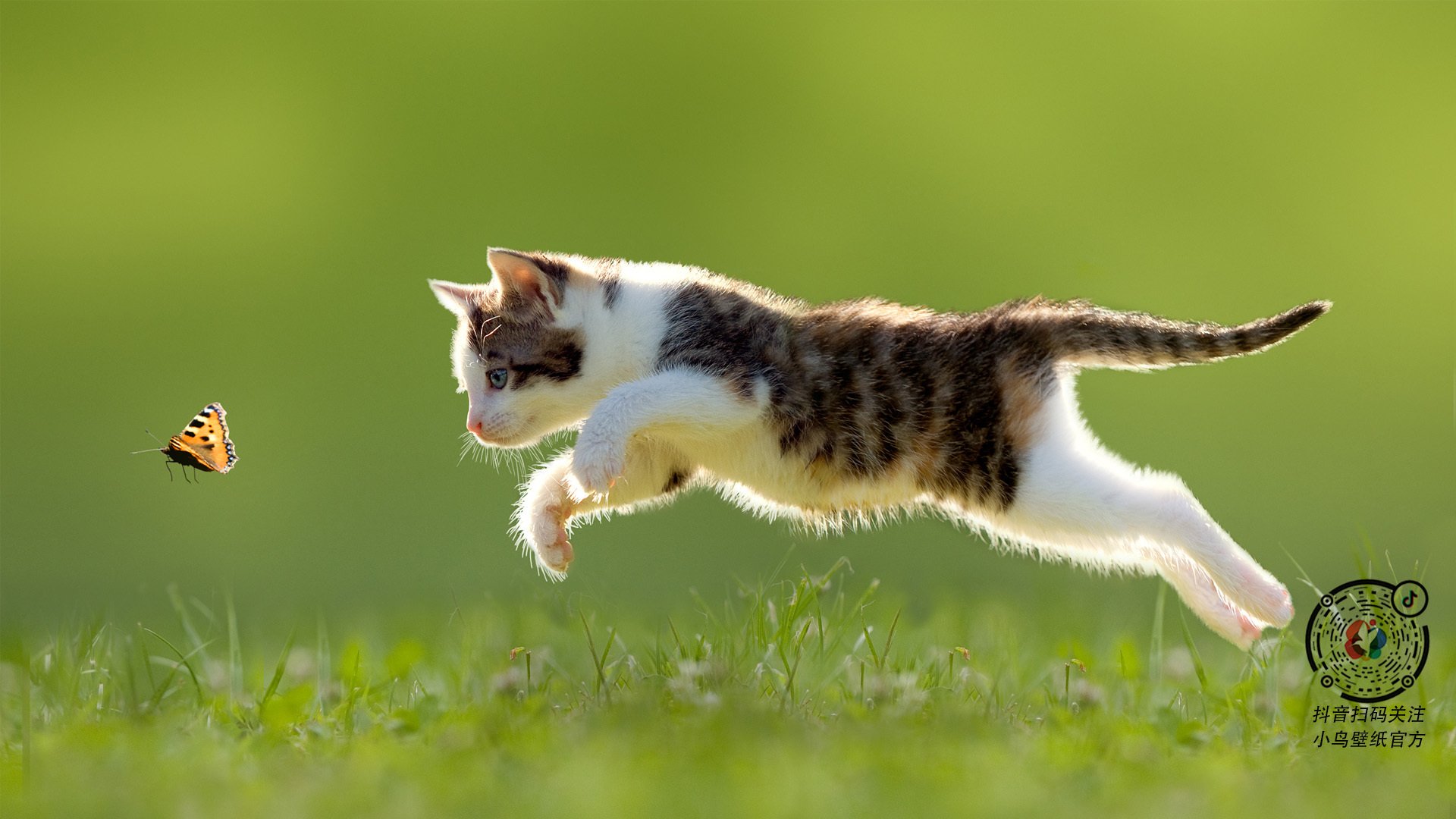 当北境风暴遇上长白寒流，篮球火种跨越太平洋的碰撞