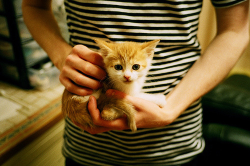 新王加冕，非洲雄狮在都灵撕裂旧秩序，穆勒的悲壮爆发难阻宿命轮转