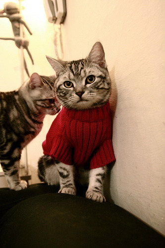 历史性对决！凯尔特人首胜深圳创纪录，保罗末节15分化身定海神针