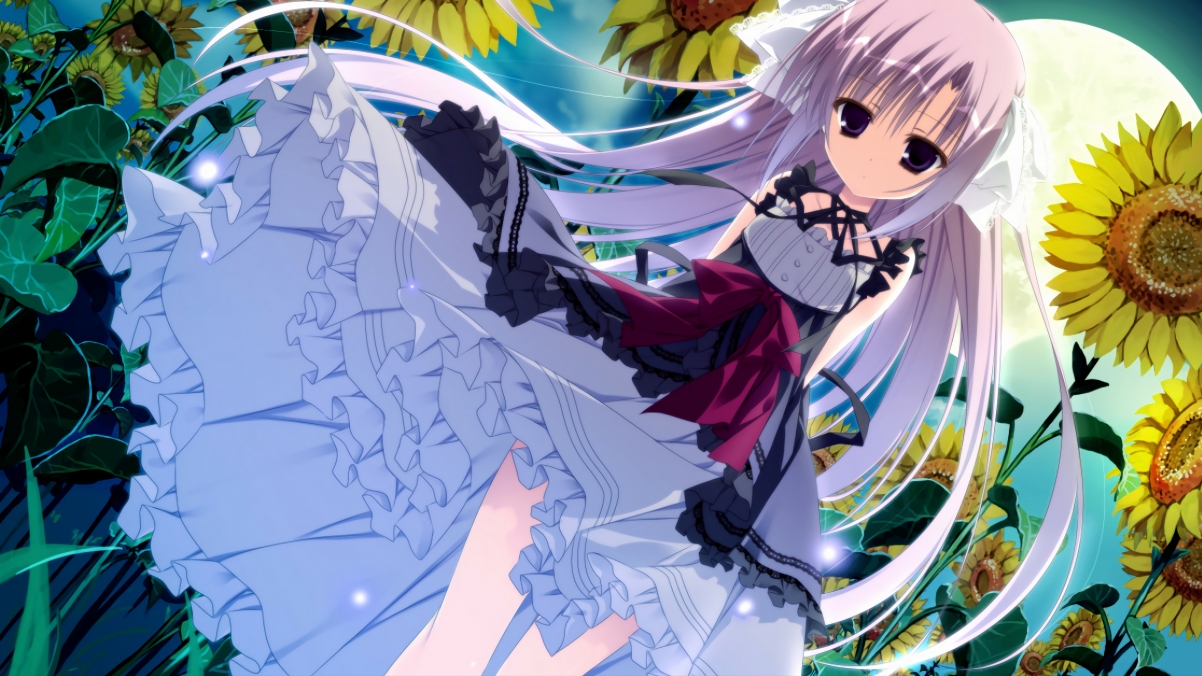 当欧冠决赛遇见CBA,吉林队力克奇才的隐喻与荣光