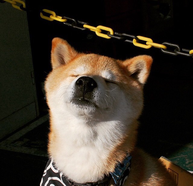 淬火成钢，杰伦·格林连续关键得分背后的羽化密码