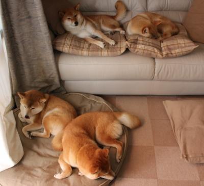 雷霆对阵山西队,这是一战的缩影,一个新时代篮球范式的残酷奠基