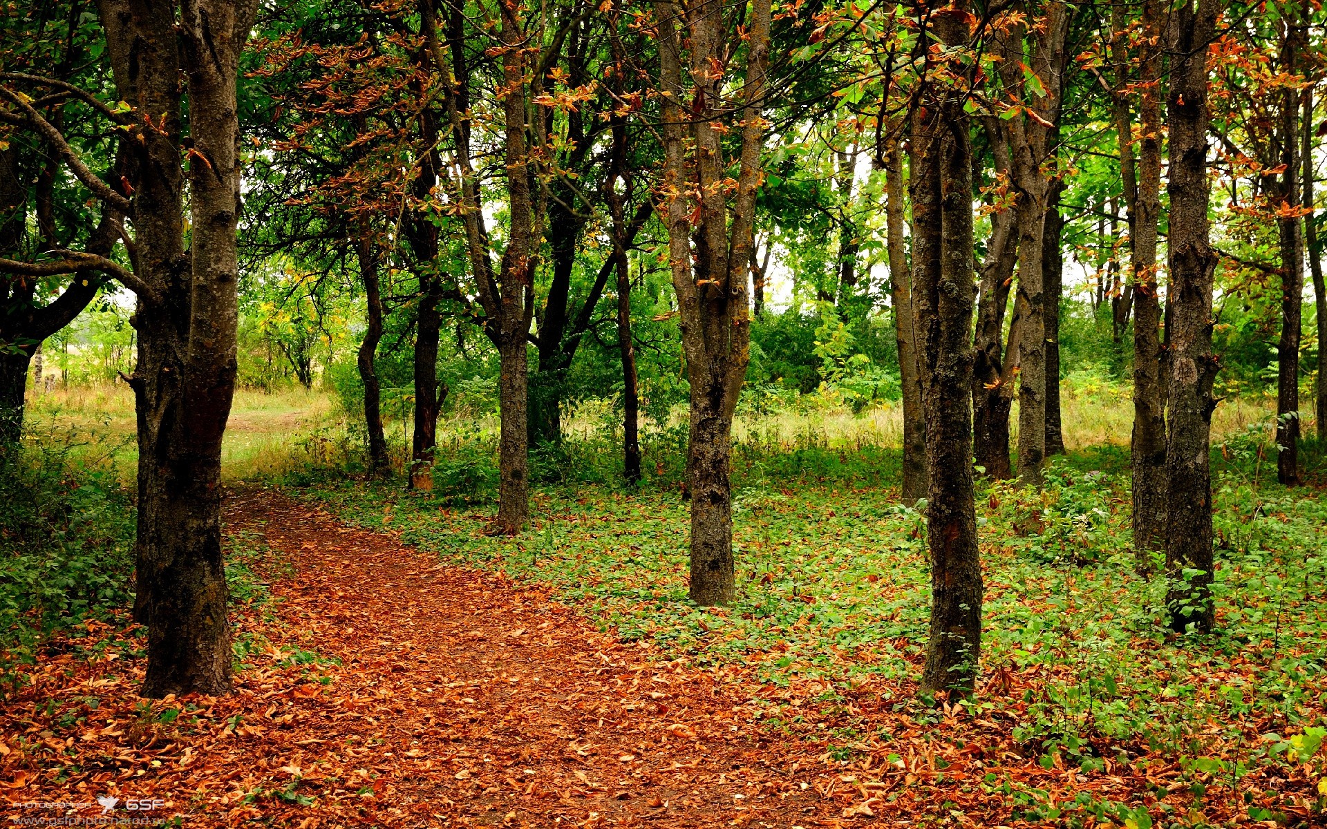 铁血前锋的无声功勋,当劳塔罗在防守端为阿根廷筑起第一道墙