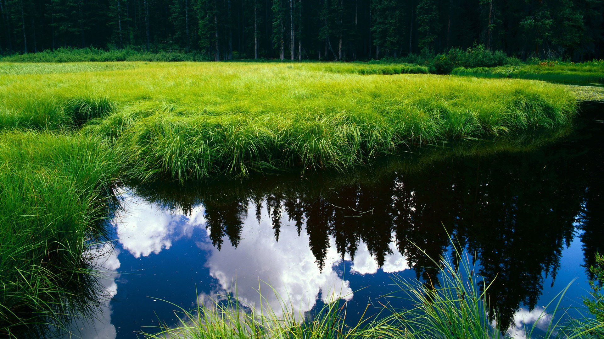 浓眉决定性时刻，森林狼战术体系成功压制勇士