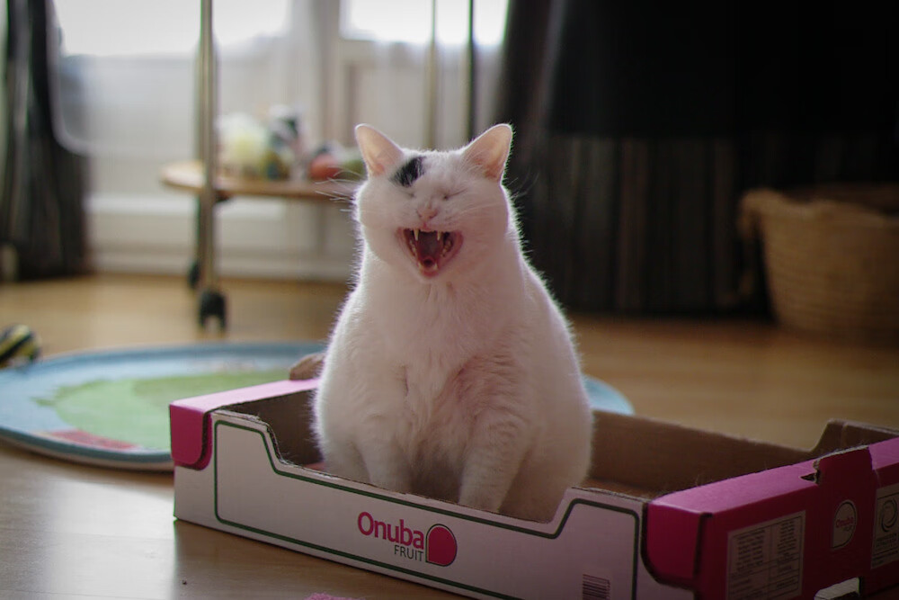 昨夜,我们共同见证了一个篮球新纪元的开启