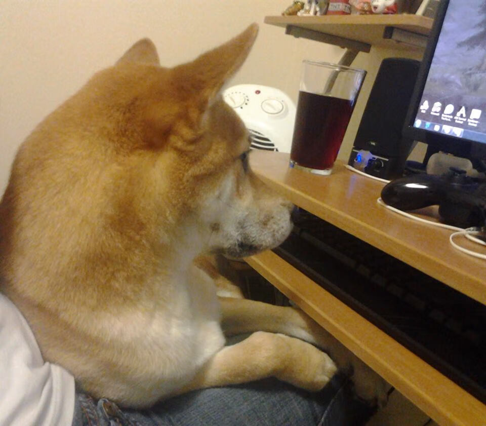 新王与旧盾，摩洛哥的重装锁链，如何在一场欧冠级对决中锁死葡萄牙的黄金一代