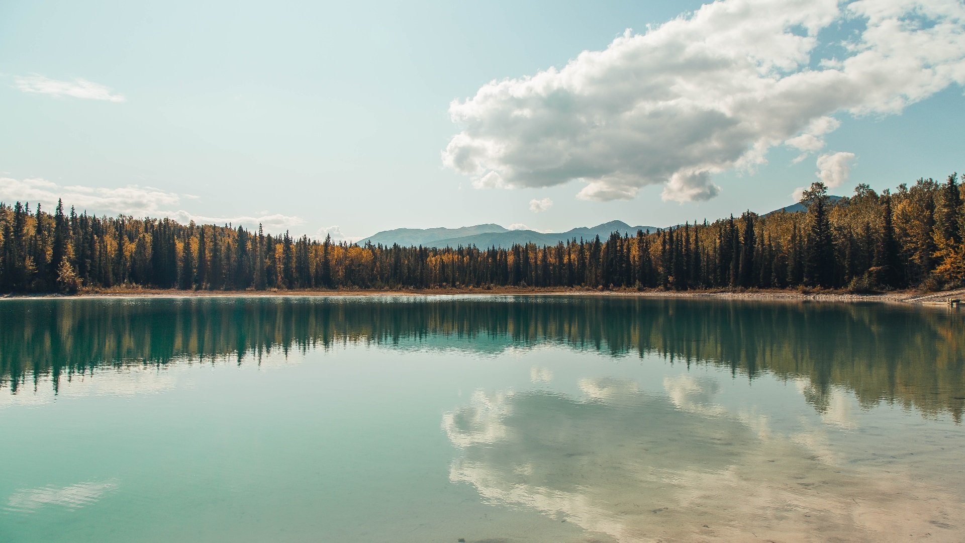 球场上的末节哲学，当富安健洋爆发遇见埃及带走美国