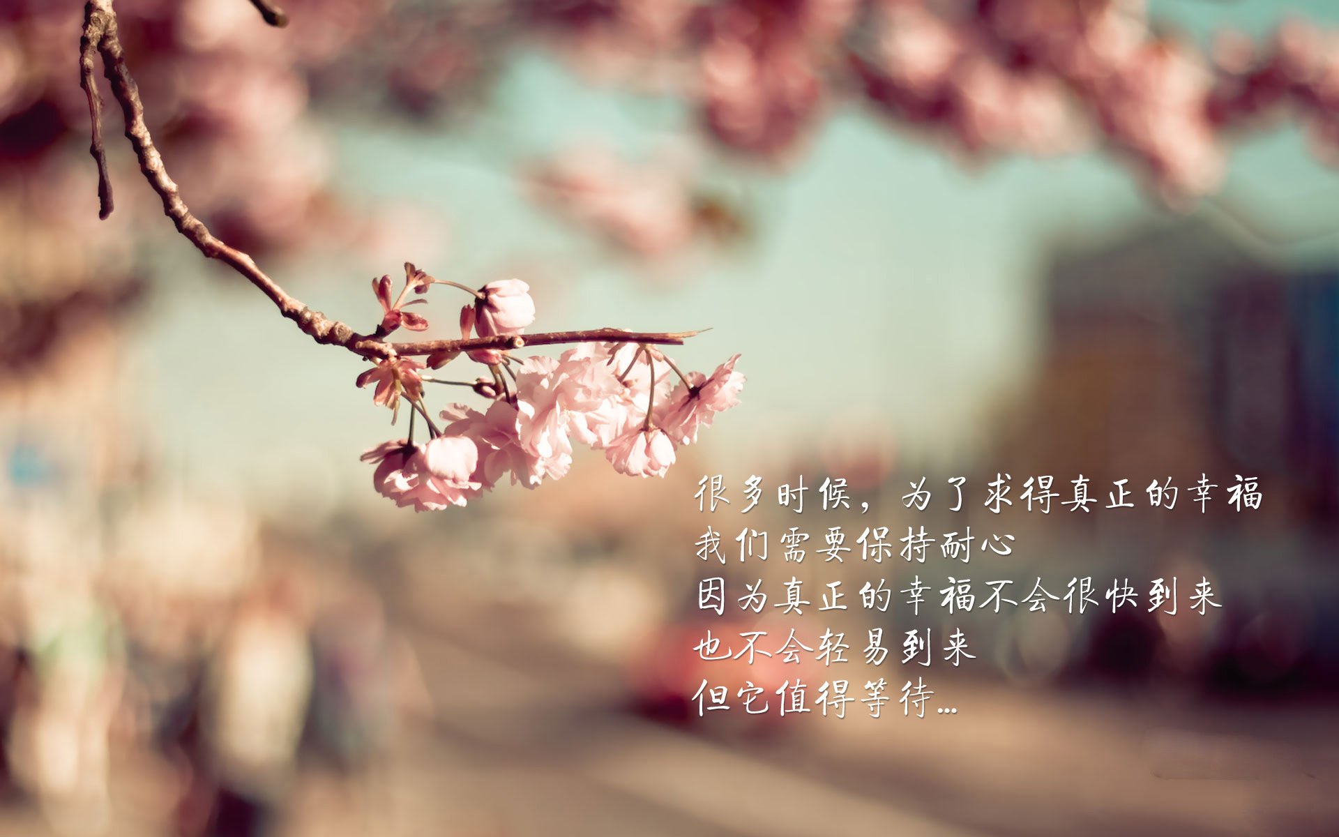 赛道与绿茵的双重奏，巴西在F1街道赛焦点战及足球场上对皇马的压制艺术