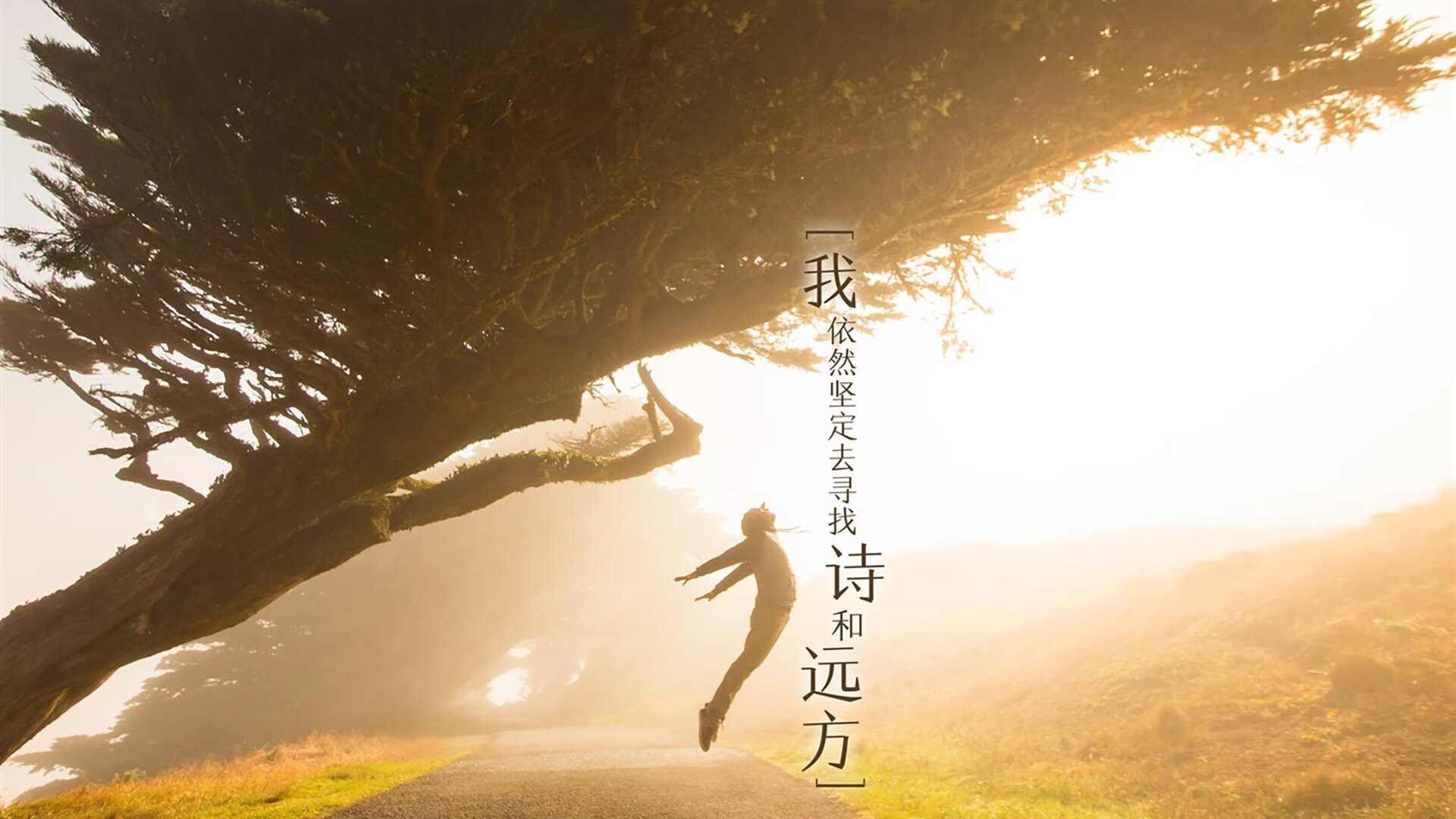 2026世界杯C组生死局,日本铁骑破匈牙利,莱万孤星闪耀难救主