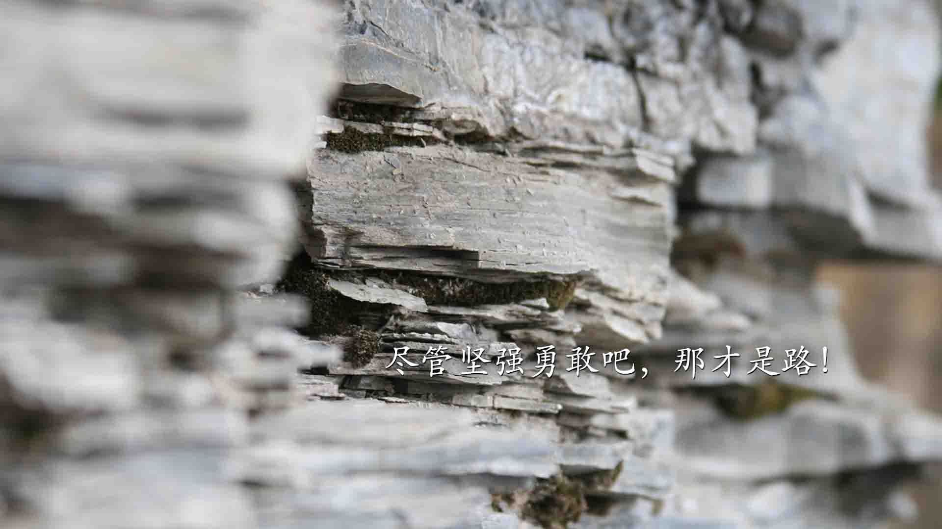 北极光暗淡,东欧铁骑踏碎冰原,2026世界杯淘汰赛,斯洛伐克用一场狂胜宣告新时代降临