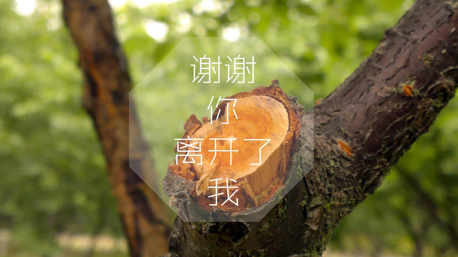 沙漠玫瑰与恒河漩涡,2026世界杯A组,贝林厄姆在印度与摩洛哥的文明碰撞中,定义足球的唯一性