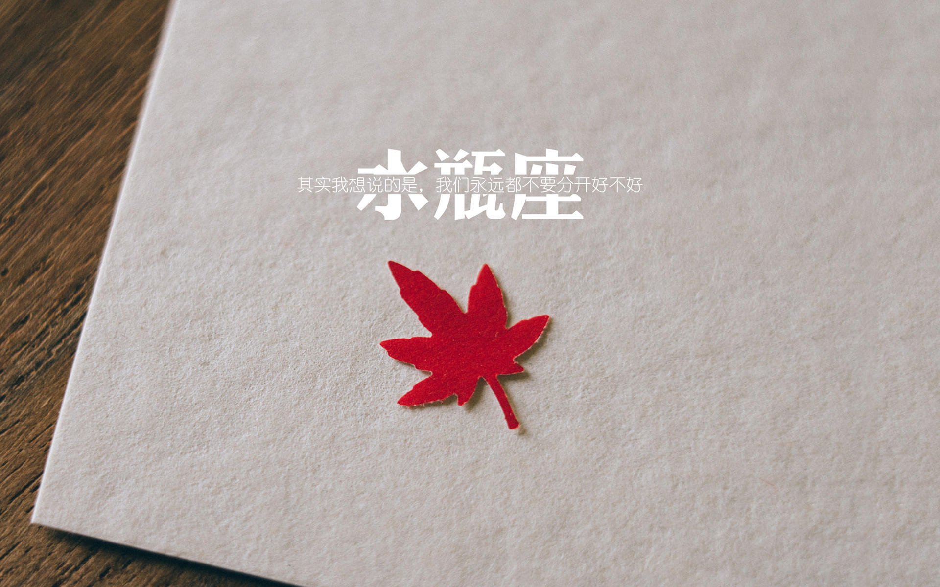 孤星闪耀之夜,当世界杯决赛的剧本写下唯一的名字